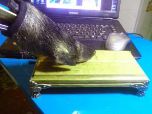 IMG_20160131_184103.thumb.jpg.6c9fb21d41