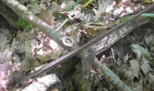 post-5226-0-79657000-1433910193_thumb.th