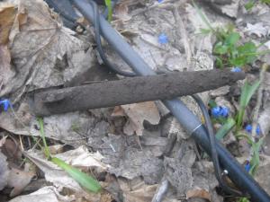 post-5226-0-84907300-1428683917_thumb.th