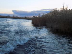 1.thumb.JPG.0784cc56965badfe0902f820f6ee