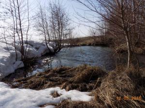 1.thumb.jpg.2a492d0ed34a3810ee1e4404d2a0