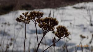 10.thumb.JPG.8f50e1c6b3bf12076dd01ff3fc9