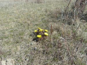 12.thumb.JPG.412913a4fa81ff6e7f84a5bde27