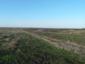 13.thumb.JPG.61bdd5c3d0f07617c7c519f7efd