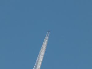 14.thumb.JPG.56f87ce98c1c85f9f6fdfef640b