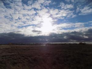 2.thumb.JPG.2ffd41835be5189984b21c8ace8f