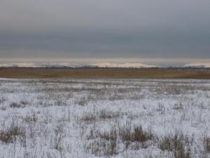 2.thumb.JPG.f93f739429732050a0c7f6ecb4b1