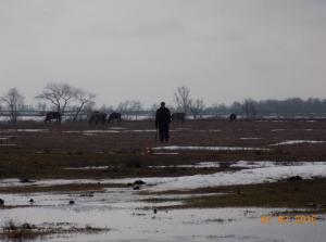 2.thumb.jpg.46793d891fa176632b660d4f57e8