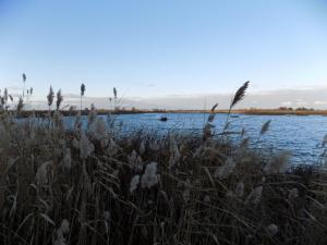 3.thumb.JPG.bd946dafb5413373e06f25f1eec7