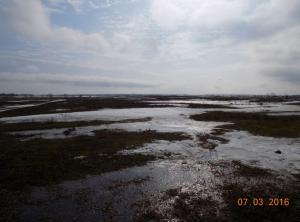 3.thumb.jpg.822f25ce465bfd073dd1b3cbc986