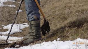 4.thumb.JPG.a0d5cc948345d76ed712882185c9