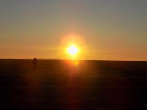 4.thumb.JPG.e8e75be22069b4bee64b5e0b0de1