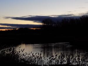 4.thumb.JPG.f414f997aae60f89d46a1f239819