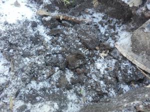 5.thumb.jpg.422f66bb33ece02fb5ff700e1665