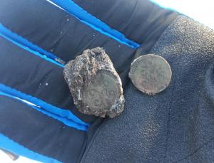 55.thumb.jpg.9bff14f68f092ab07cbcf4d3694