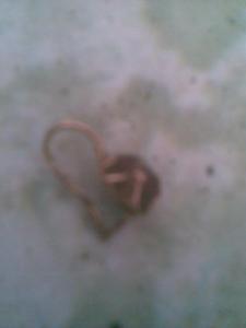 Фото егора002_1.jpg