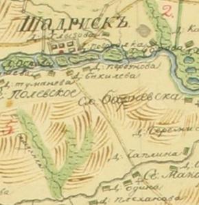 genplan-shadrinsk-uezd-19vek - копия.jpg
