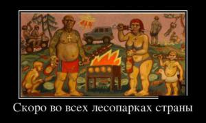 В лесопарках страны.jpg