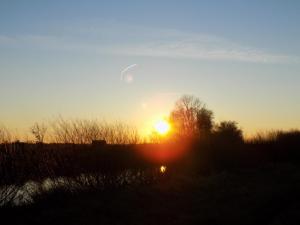 6.thumb.JPG.21c418af2bbfe8e79bf3b0f2282d