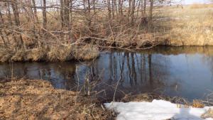 6.thumb.JPG.beaab67fe0cb749bdc55a6239788