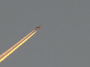 6.thumb.JPG.de11f88335761f58541fe079f32b