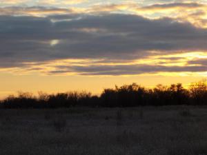 6.thumb.JPG.f24a33cdb06b5854b512af80a158