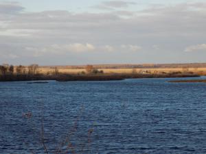 7.thumb.JPG.2ff33b689701fc91e343f9820e5b