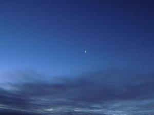 7.thumb.JPG.b6c51c79285469cedf3040bc3b3d