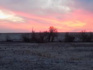 7.thumb.JPG.c8c20a6b80b8648d05b2430402ca