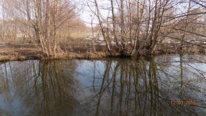 8.thumb.JPG.5df8efd1b8c81087d5c1abc9b39f