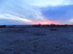 8.thumb.JPG.94a6922efe2fe5fbfa5c6d29e812