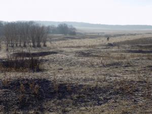 8.thumb.JPG.a2619b2471a9dccc0a599ada5e42