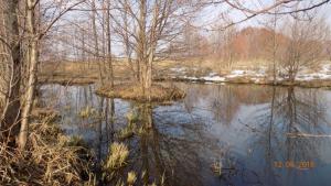 9.thumb.JPG.85f2aa4aa2653d00901fe1819079