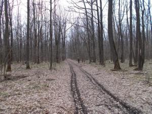 DSCN1052.thumb.JPG.64f886308a860d122bc85