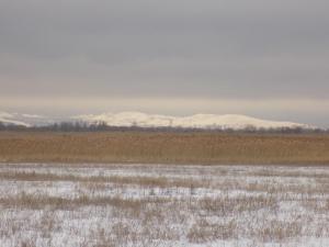 DSCN4734.thumb.JPG.8fcfd2fe388b5a90880cf