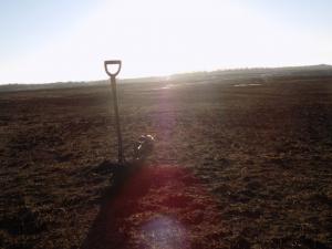 DSCN5155.thumb.JPG.dca19b21a3e8981b8b549