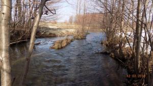 DSCN6411.thumb.JPG.df05f24916365d6e2260c