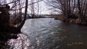 DSCN6416.thumb.JPG.9ce432fe533ae9692cb2f