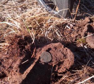 IMG_20160325_182905.thumb.jpg.7dade90f0a