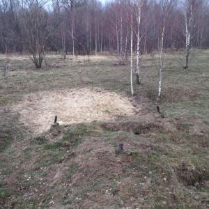 IMG_4223.thumb.jpg.5f2b66714c68de22894ca