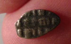 2016-04-06 19-54-57.JPG