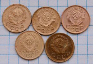 DSC_3843 (Custom).JPG