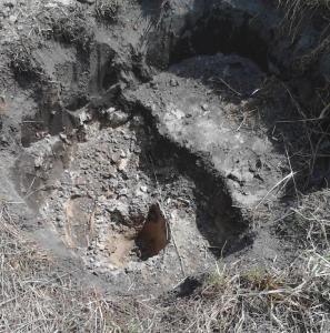 IMG_20150507_120731 (2).jpg