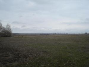 место копа.jpg