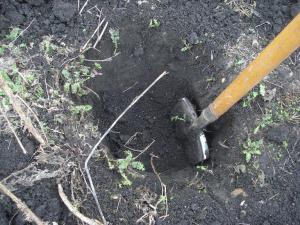 глубокий сигнал....jpg