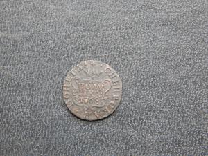 соболя 011.JPG