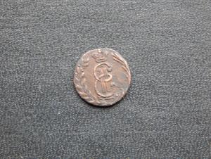 соболя 015.JPG