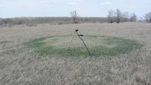 Круг на поле.jpg