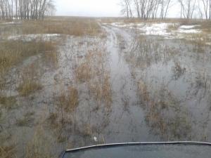 2016-04-03 10.03.17.jpg