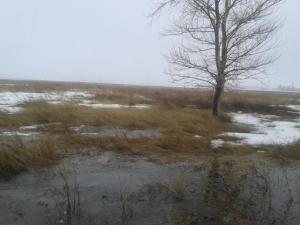 2016-04-03 10.03.06.jpg